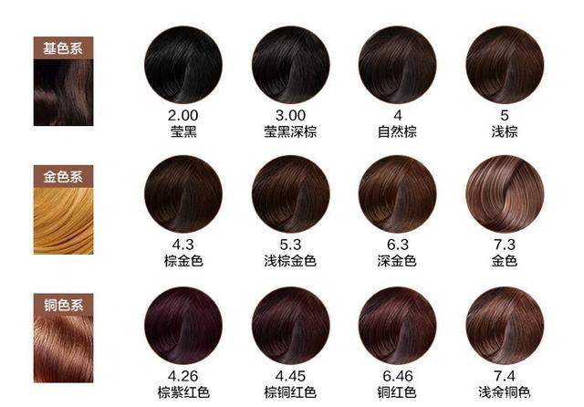 珠海机场北快线北段工程Y1隧道贯通