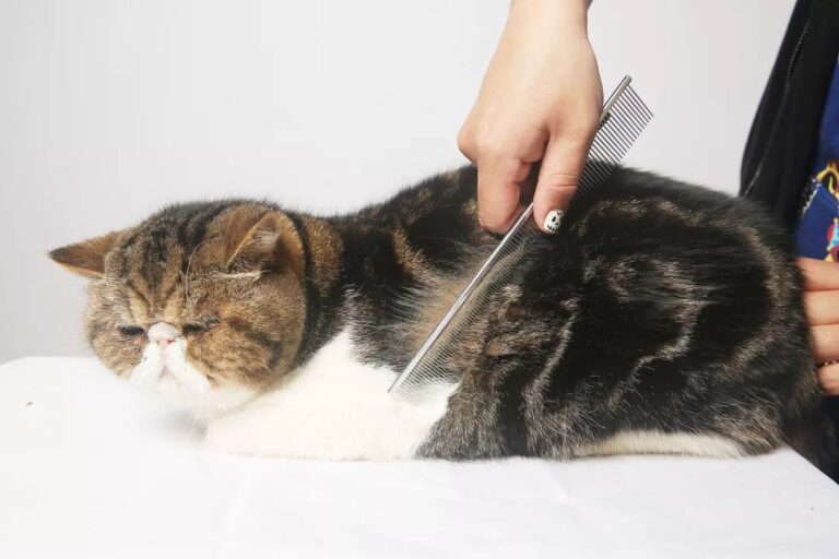 AWS增速不及竞争对手 亚马逊(AMZN.US)盘后重挫 AI投资效果遭疑