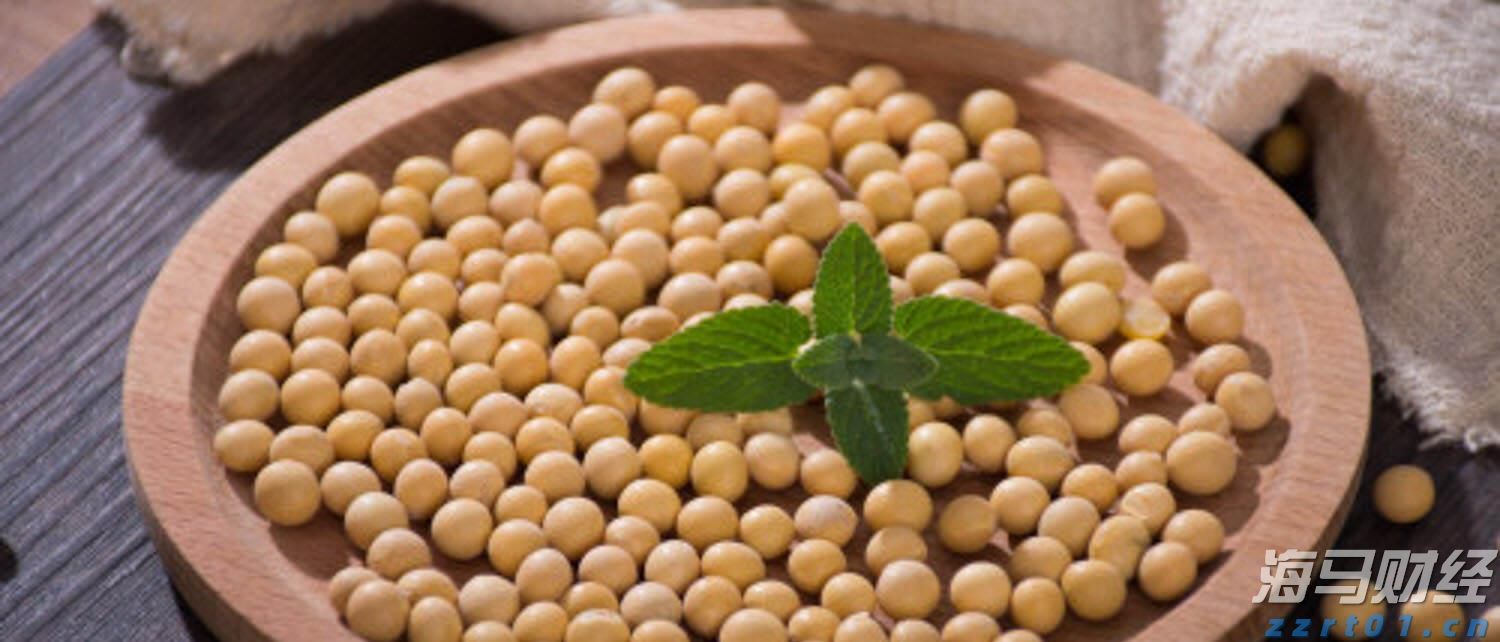 吉尔吉斯斯坦接任2025至2026年度上海合作组织轮值主席国