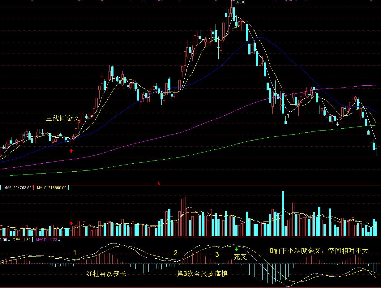 辽宁省市场监管部门负责同志座谈会在沈阳召开