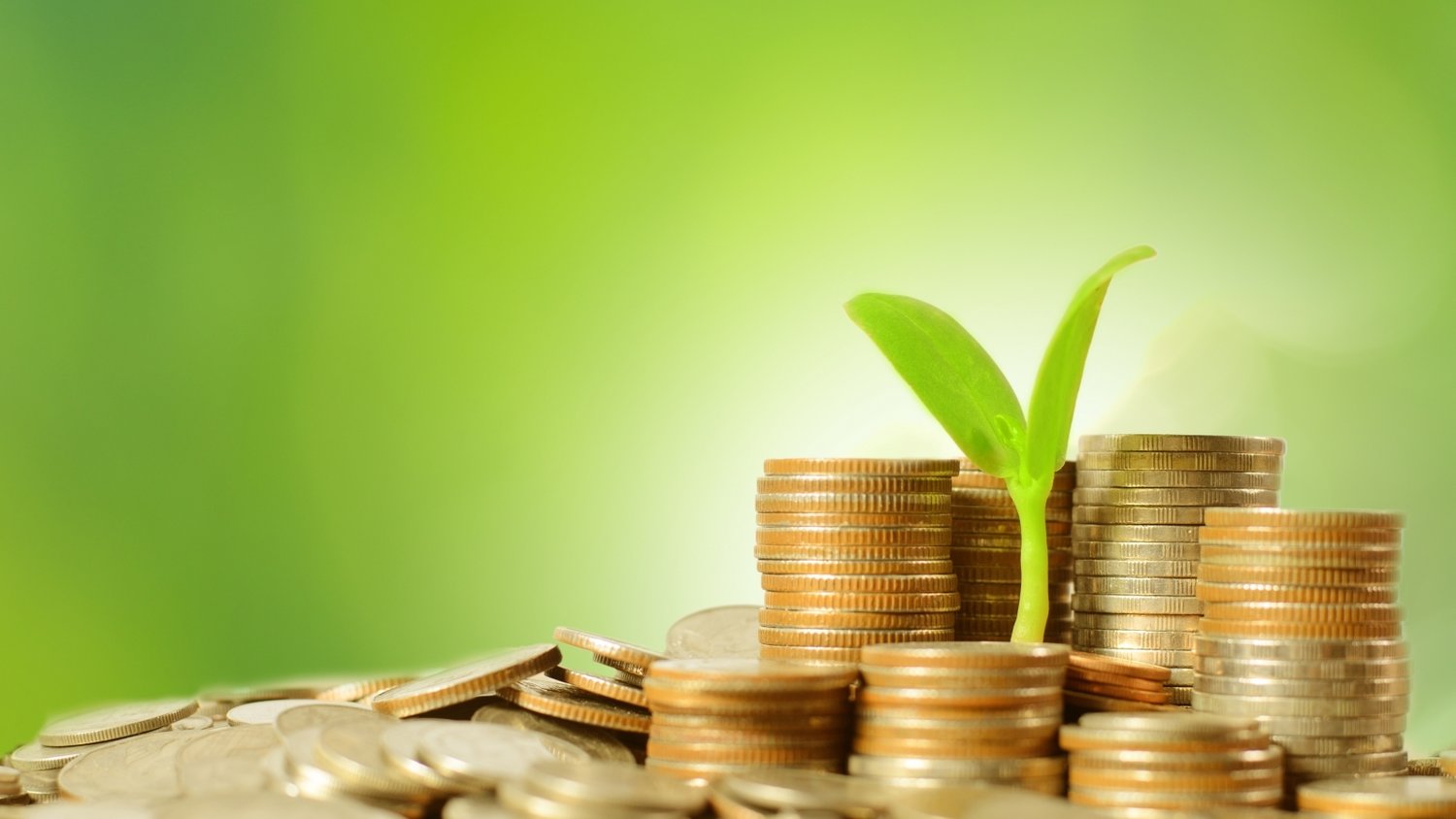 仍有大雨局部暴雨，惠州启动防汛Ⅳ级应急响应和地质灾害气象风险三级预警