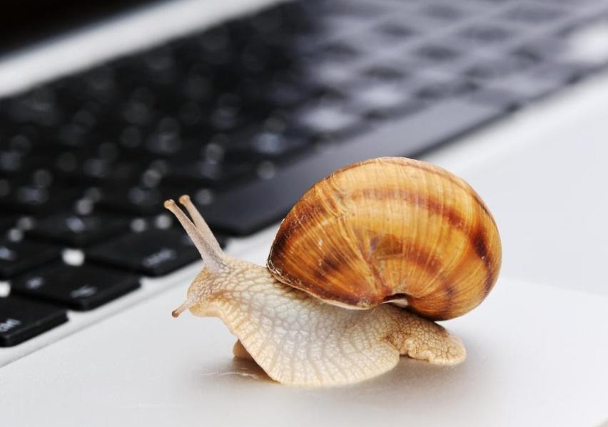 熊海峰教授走进广东塔牌集团股份有限公司开展2025院士专家入百企进百校（梅州行）活动