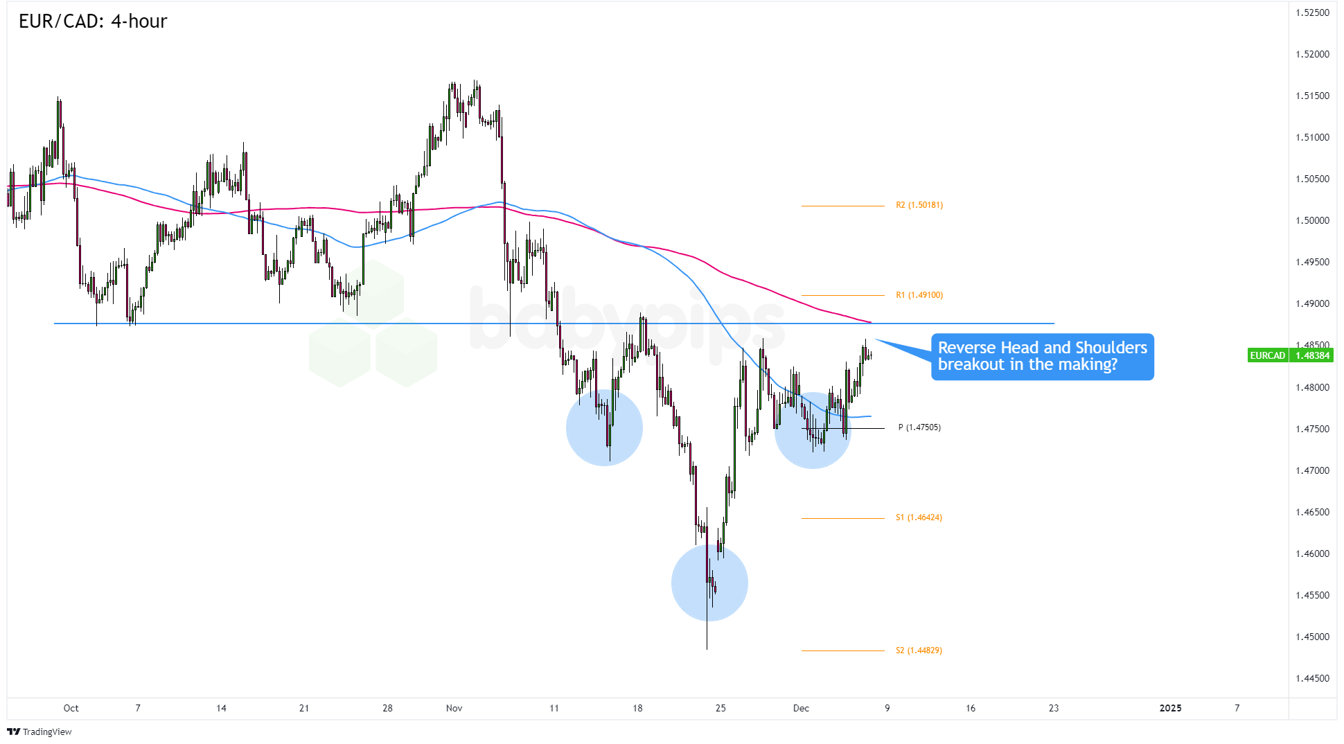 广东5所高校正式获批推免资格